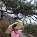 3월2일 카페창립기념일 및 대체공휴일에 북악하늘길 걷기(리딩: 쎈자대장님) 이미지