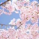 서경화장품 - 공주시 납다리길 4 | 서경화장품