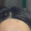 데이롱연수 이미지
