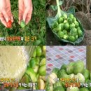 포스트푸드 이미지