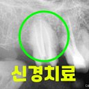 다솜치과기공소 이미지