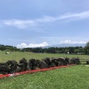 아침초원 목장 이미지