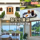 서귀포 오션뷰 카페 정오의물결 신서귀포 제주 애견동반