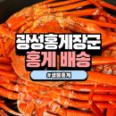 광성 | 동해 홍게 3KG 생물 배송 후기 광성홍게장군