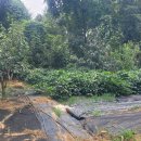 정관농장 이미지