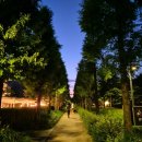 세븐일레븐은평청구점 | 아프면 살 빠진다는 게 이런 거구나