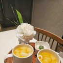 더화이트 | [공지] [W 02] 루클라비 더화이트 상담후기(계약O)