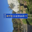 대관령 솔내음 오토 캠핑장 | 강원도 강릉 대관령 솔내음 오토캠핑장