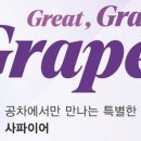 공차대전노은점 네이버블로그