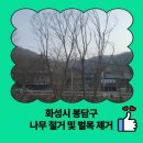 서울우유화성봉담고객센터 | 화성시 봉담구 나무 철거 및 벌목 제거