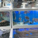 농수산물시장 이미지