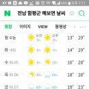 함평나비메주된장 이미지