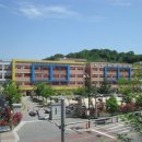 화봉초교 이미지