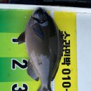 뉴환상민박 이미지