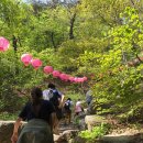 크로스핏 얼티메이트 이미지