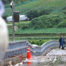 천도리양지마을 이미지