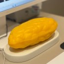 수원강남약국 | 수원 허벅지 지방분해주사 제로컷주사 1회차 -2.3kg 비포애프터