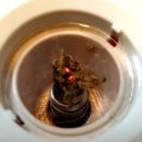 감송한의원 이미지