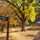 옥산4리 이미지