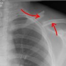 상해행정사 이미지