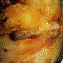 용인동물병원 이미지