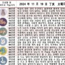 2024년 11월 19일 운세 및 세상 소식 이미지