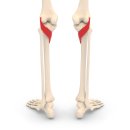 오금한의원 이미지