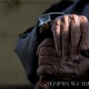 희연실버타운 네이버블로그