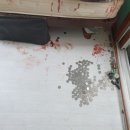 창원고등학교 이미지