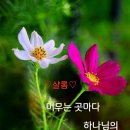 당감 이미지