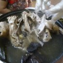 능이버섯백숙 이미지