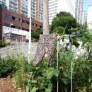 삼정할머니경로당 이미지