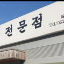 번영로234번길 티스토리