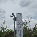 양성 카페 핸드드립 커피 브런치 만델링 내돈내산 후기