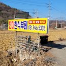 진미한식부페 이미지