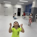 그린나래 태권도 이미지