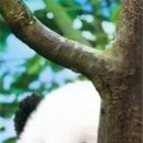 하늘분식 - 기장군 차성로288번길 22 | 하늘분식