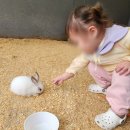 순천한우 농장 | 여수 한우드림 동물 먹이주기 체험 목장 후기와 꿀팁