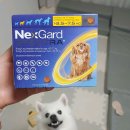 현대동물병원 | 마음을 담은 반려동물 의료, 봉천현대동물병원 소개