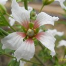 효자농장 이미지