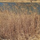 유장농장 이미지