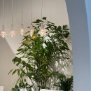 더퍼스트프라임(57513) 이미지