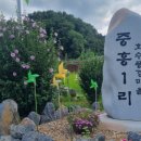 호수풍경 이미지