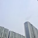 용인 수지 방충망 업체 상현동 만현마을 엘지자이 미세방충망 시공 후기