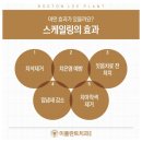 이플란트치과 이미지