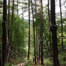 숲들내캠핑장 이미지