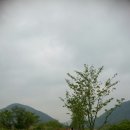 진전천 이미지