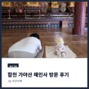 해인사성보박물관 | 5개월 아기랑 합천 가야산 해인사 방문 후기