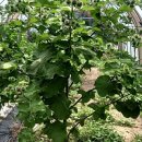 현기농장 이미지