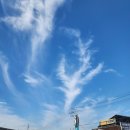 맘스터치 평택안중점 이미지